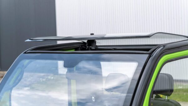 Elektrofrosch BOB TWO