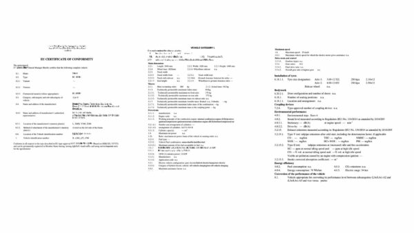 Elektrofrosch 25er – OPEN