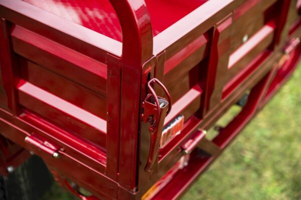 Elektrofrosch 25er – OPEN