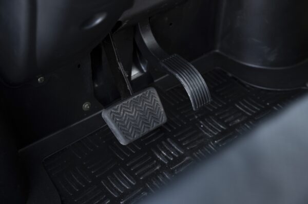 Elektrofrosch BOB FOUR