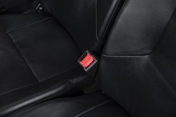 Elektrofrosch BOB FOUR