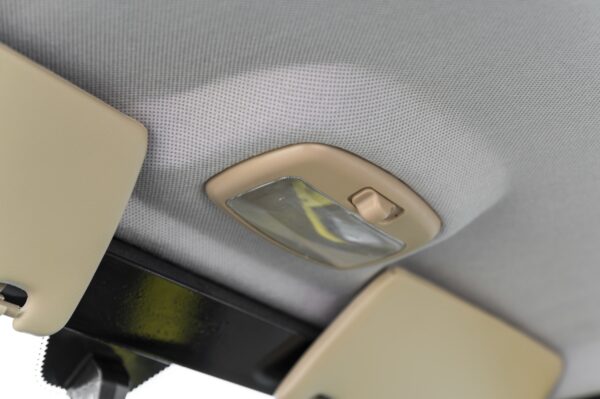 Elektrofrosch BOB FOUR