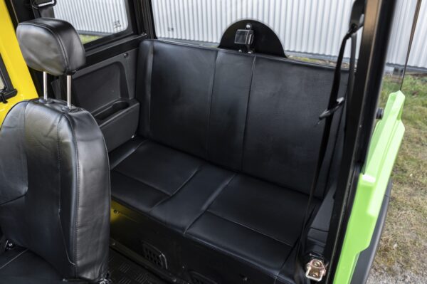 Elektrofrosch BOB FOUR