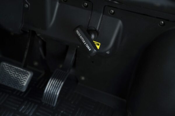 Elektrofrosch BOB FOUR