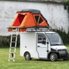 Elektrofrosch Camping