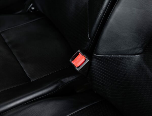 Elektrofrosch BOB FOUR