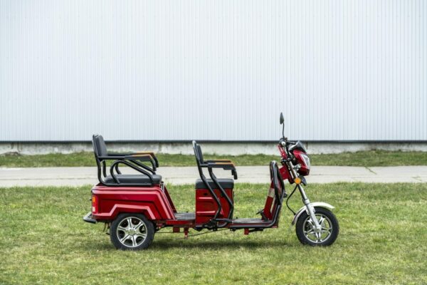 Elektrofrosch-rikscha-1-3 Elektrofrosch Rikscha