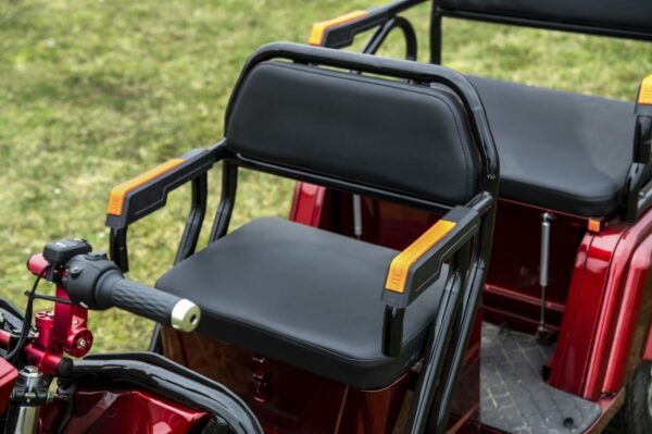 Elektrofrosch-rikscha-10 Elektrofrosch Rikscha