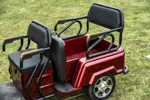 Elektrofrosch-rikscha-12 Elektrofrosch Rikscha