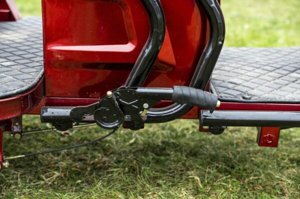 Elektrofrosch-rikscha-14 Elektrofrosch Rikscha