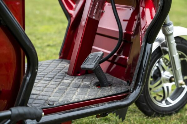 Elektrofrosch-rikscha-15 Elektrofrosch Rikscha