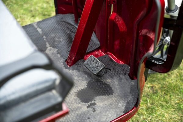 Elektrofrosch-rikscha-16 Elektrofrosch Rikscha