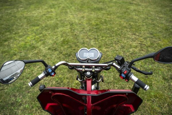 Elektrofrosch-rikscha-18 Elektrofrosch Rikscha