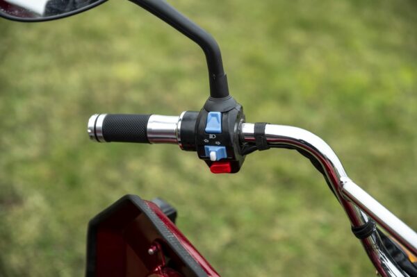 Elektrofrosch-rikscha-19 Elektrofrosch Rikscha