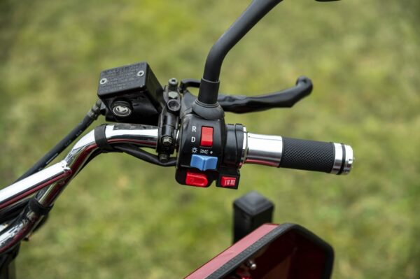 Elektrofrosch-rikscha-20 Elektrofrosch Rikscha