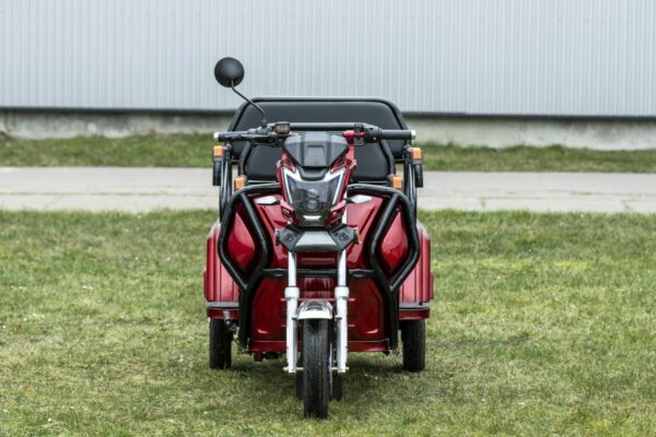 Elektrofrosch-rikscha-5 Elektrofrosch Rikscha