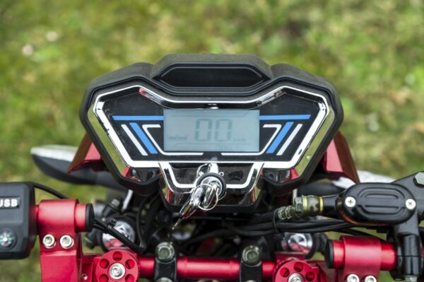 Elektrofrosch-rikscha-8 Elektrofrosch Rikscha