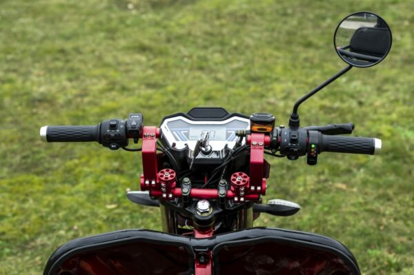 Elektrofrosch-rikscha-9 Elektrofrosch Rikscha