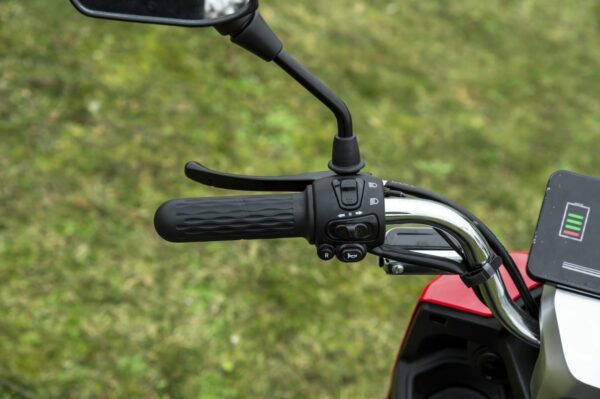 Elektrofrosch Roller