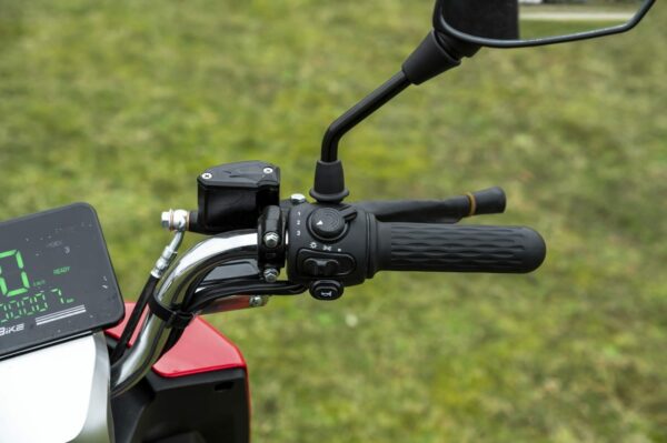 Elektrofrosch Roller