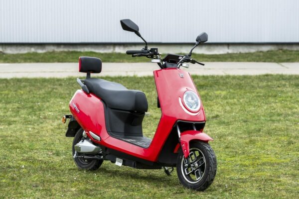 Elektrofrosch Roller