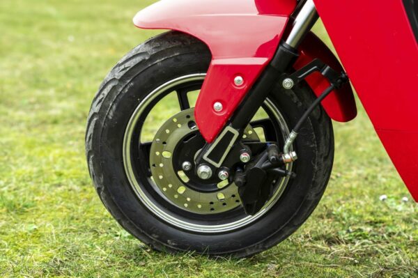 Elektrofrosch Roller