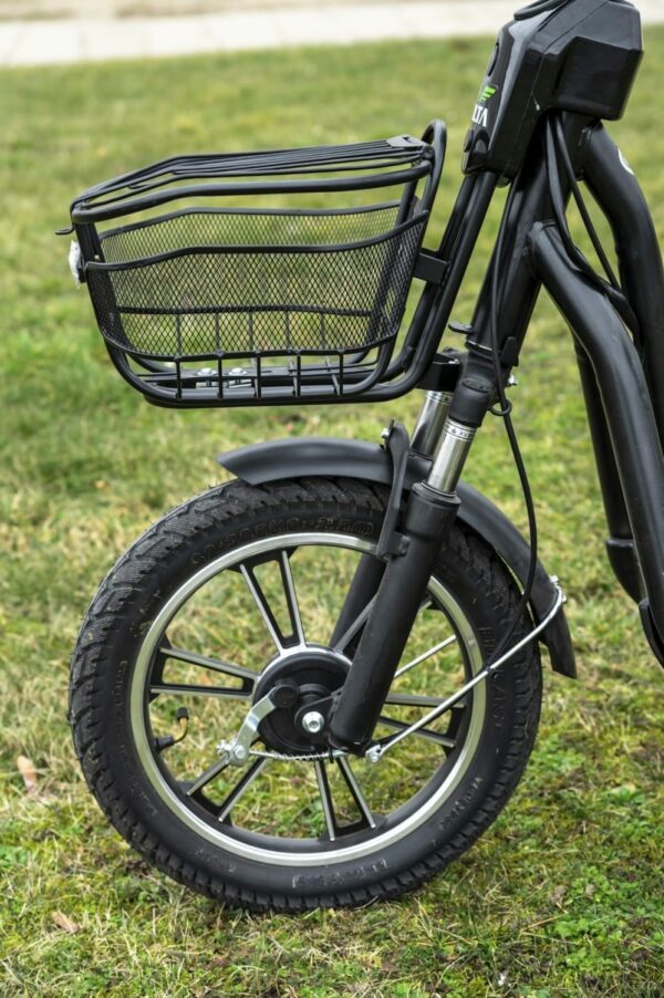 Elektrofrosch Roller 25