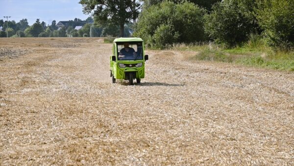 Elektrofrosch GRAND Extra