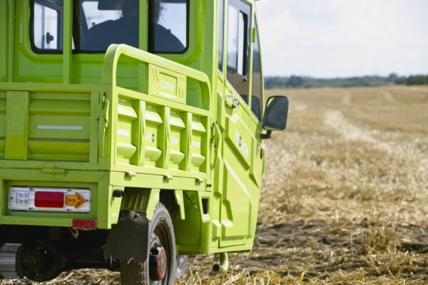 Elektrofrosch GRAND Extra