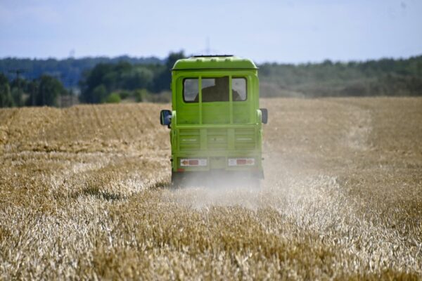 Elektrofrosch GRAND Extra